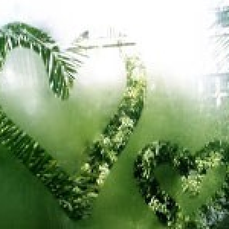 印度最干净的地方，竟然是这样的一个村庄